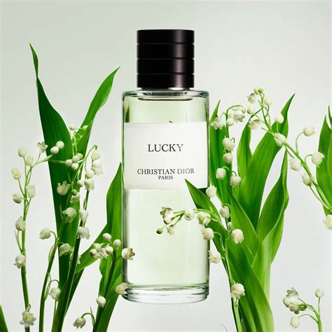 dior lucky 250ml|lucky by christian dior.